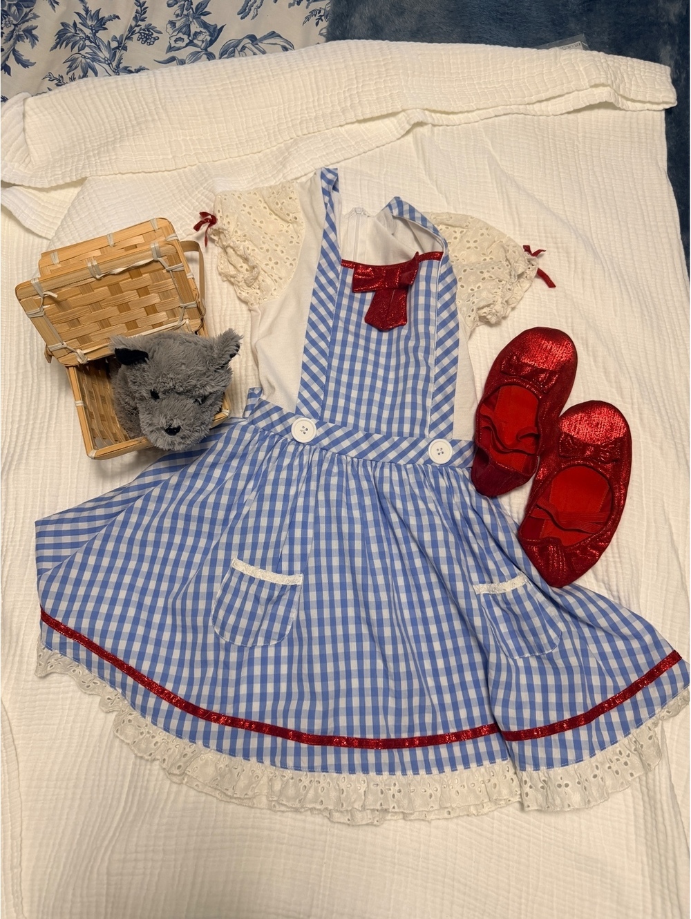 The Wizard of Oz Blue Gingham Dress with Red Bow and Lace Trim, Childs M